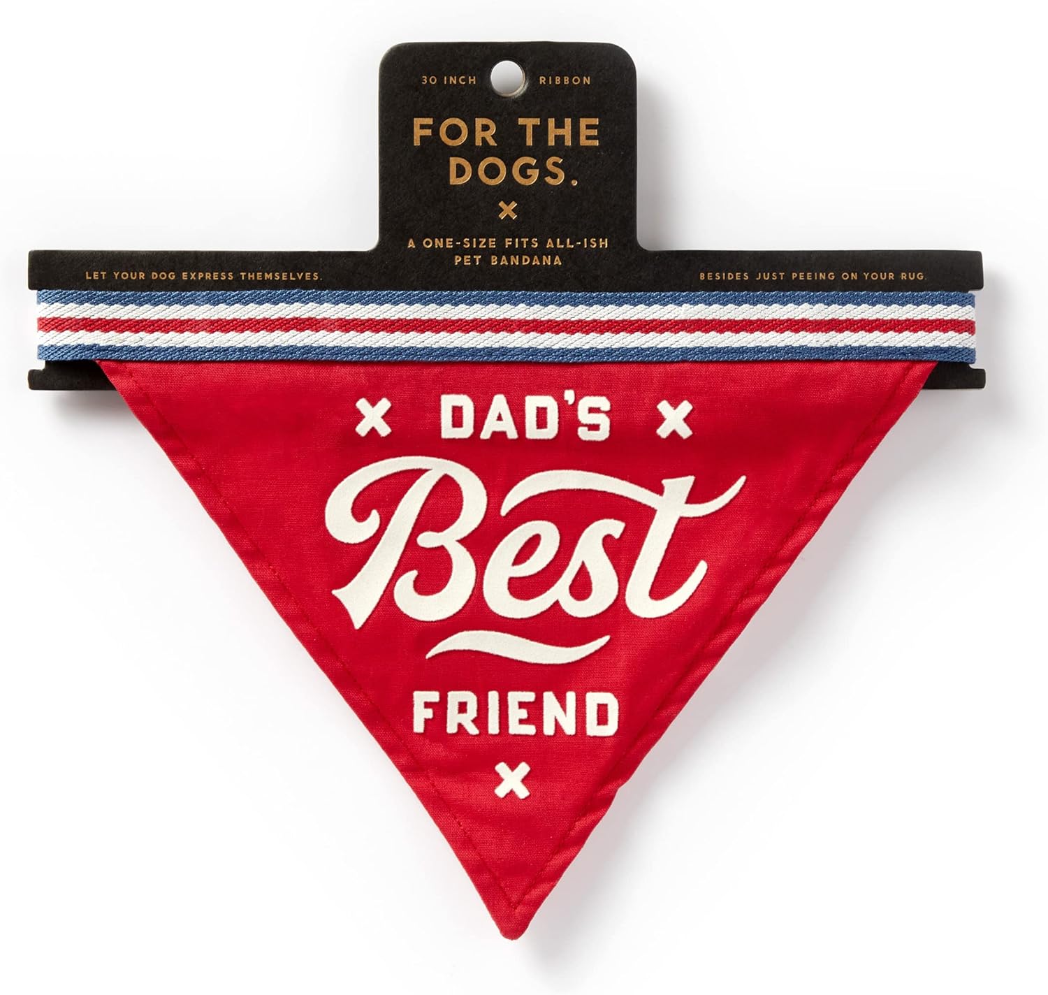 PawthersDayBandana6 2024